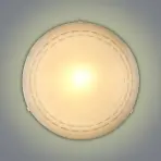 Stropné svietidlo  250Y SQ250 D25 PL1