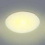 Stropnica GLASS 250Y CLEAR D25 PL1