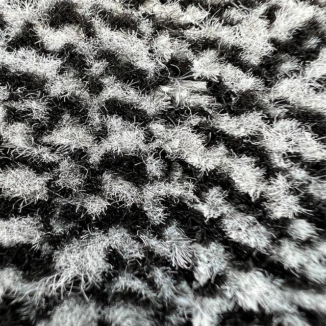 Rohožka Tiger 60x80 cm  3002,6