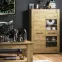 TV stolík Artis 11 Dub artisan,10