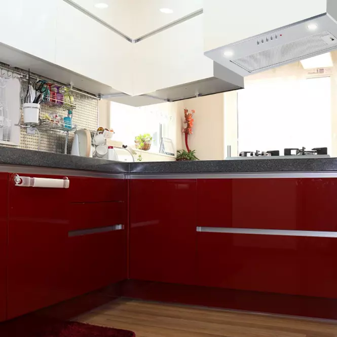 Digestor WK-7 MICRA 50 inox,5