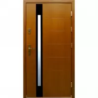 Dvere vchodové WZ 69 čierny reflex 90P zlatý dub