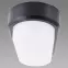 Stropná lampa aron LED L 18W BLACK 4000K 03799,6
