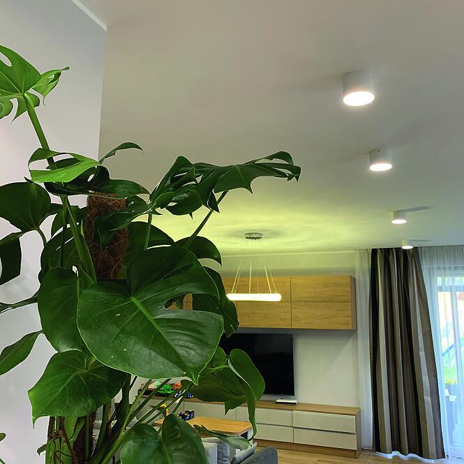 Stropné svietidlo rolen LED 7W BLACK 03780