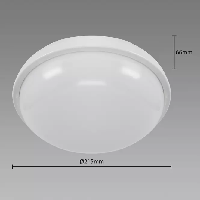 Stropná lampa Filip LED C 24W White 4000K 03819,3