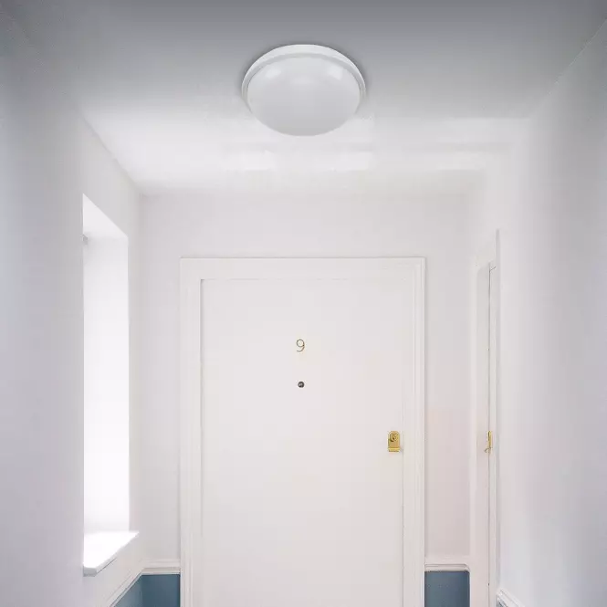 Stropná lampa Filip LED C 24W White 4000K 03819,5