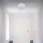 Stropná lampa Filip LED C 24W White 4000K 03819,5