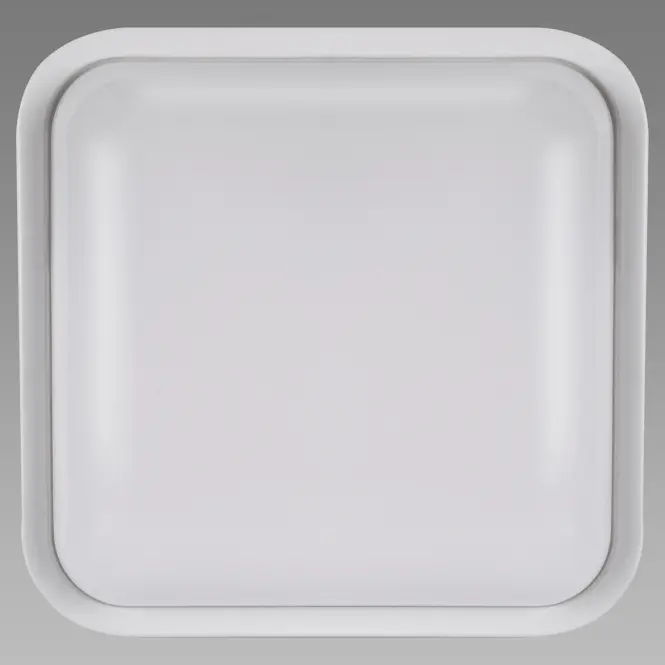 Stropná lampa Filip LED D 18W White 4000K 03820,4
