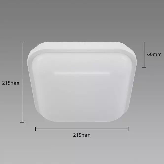 Stropná lampa Filip LED D 24W White 4000K 03821,3