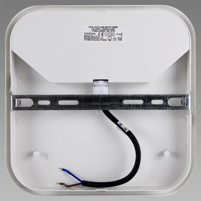 Stropná lampa Filip LED D 24W White 4000K 03821,7