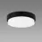 Stropná lampa Aron LED C 12W Black 4000K 03800 PL1
