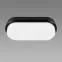 Stropná lampa Aron LED L 12W Black 4000K 03798