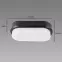 Stropná lampa Aron LED L 12W Black 4000K 03798,4