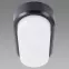 Stropná lampa Aron LED L 12W Black 4000K 03798,7