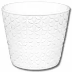 Obal Daisy Sedmikráska 15cm Biela Lesk