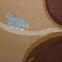 Koberec BCF New Shiraz 1,2/1,7 1587 B0155,5