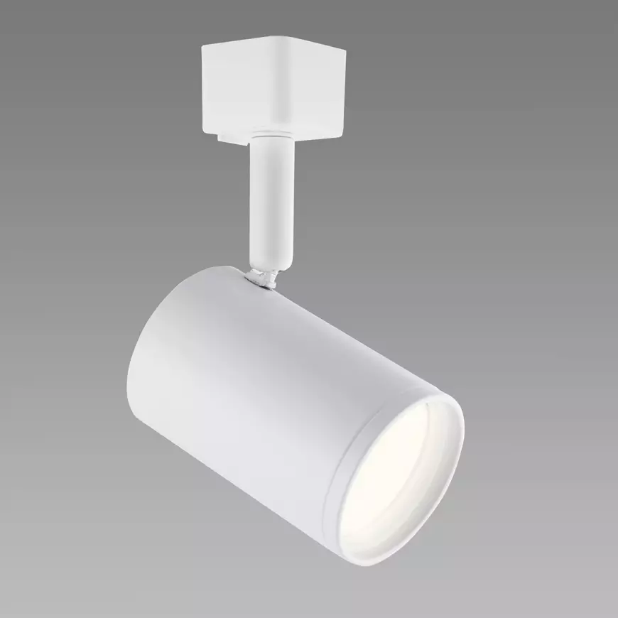 Fotografia produktu: Nástenná lampa Haga white 035404 LK1