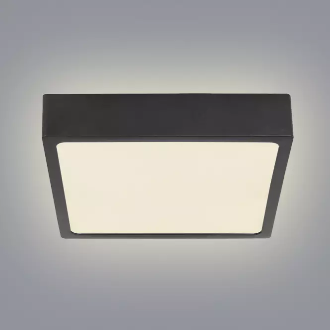 Stropnica 12369-15 LED 15W 14,5X14,5 Čierna PL1