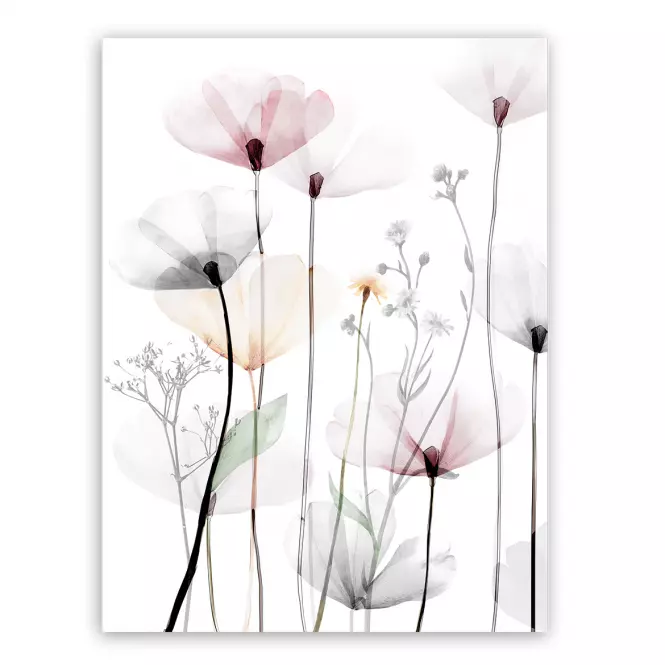 Obraz na plátne 60x80 cm St543 Modern Poppy 1