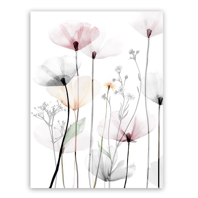 Obraz na plátne 60x80 cm St543 Modern Poppy 1