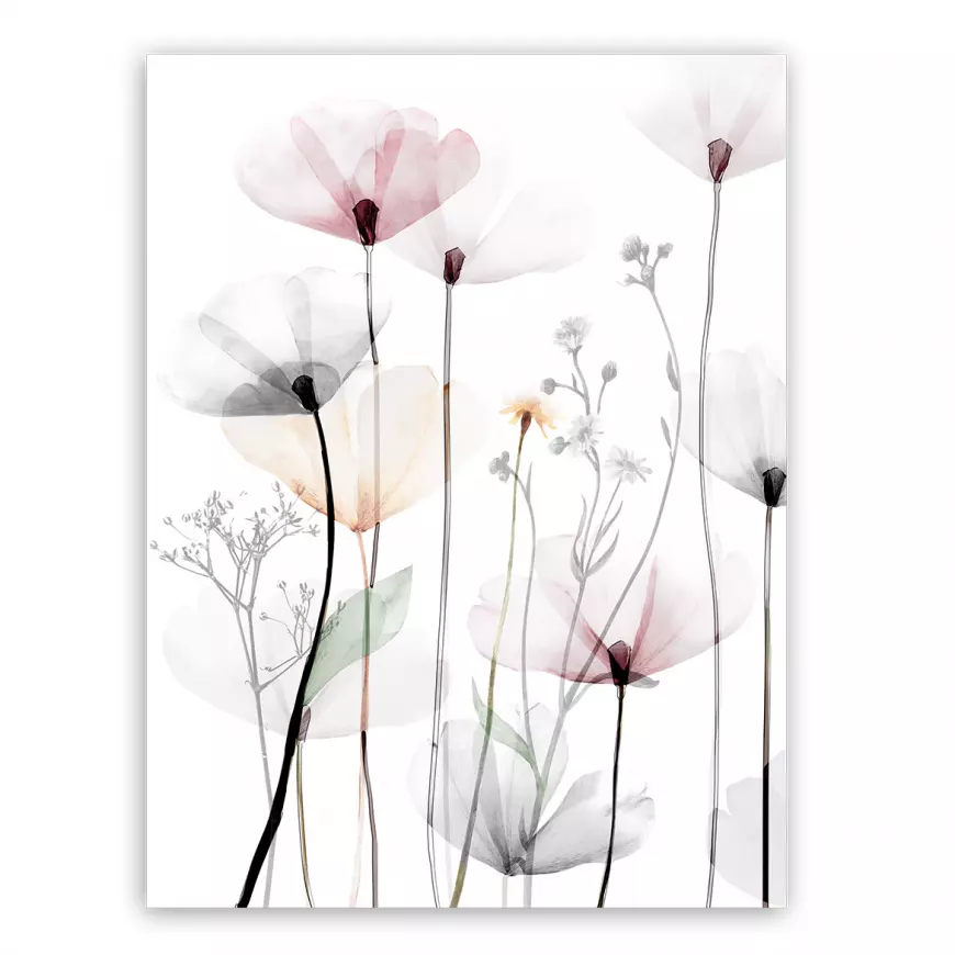Obraz na plátne 60x80 cm St543 Modern Poppy 1