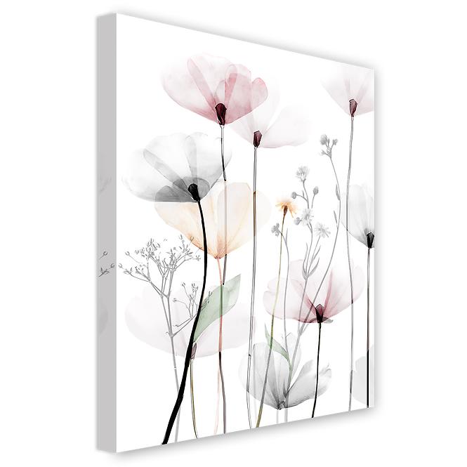 Obraz na plátne 60x80 cm St543 Modern Poppy 1