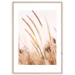 Artbox Digi 50x70 Ab078 Grasses I