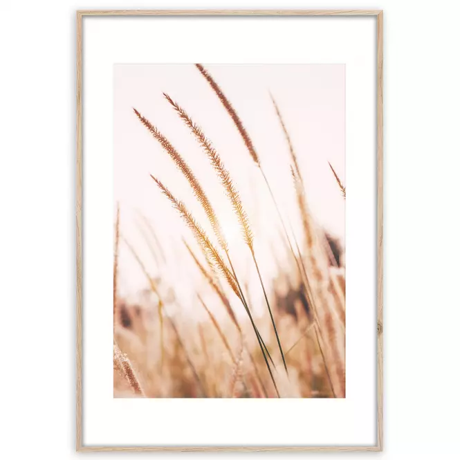 Artbox Digi 50x70 Ab078 Grasses I
