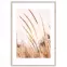 Artbox Digi 50x70 Ab078 Grasses I