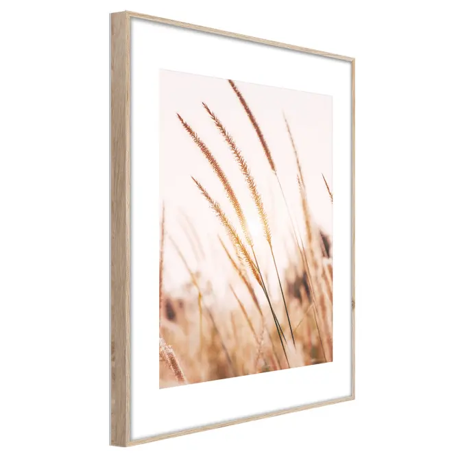 Artbox Digi 50x70 Ab078 Grasses I