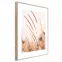 Artbox Digi 50x70 Ab078 Grasses I,2