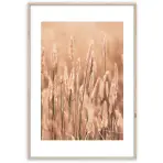 Artbox Digi 50x70 Ab079 Grasses II