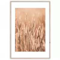 Artbox Digi 50x70 Ab079 Grasses II