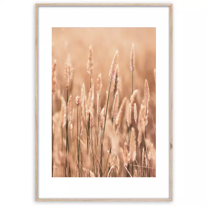 Artbox Digi 50x70 Ab079 Grasses II