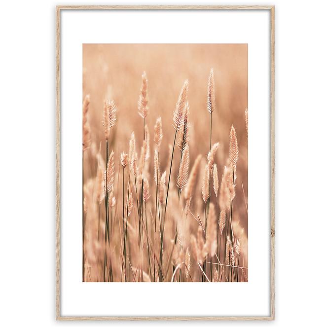 Artbox Digi 50x70 Ab079 Grasses II