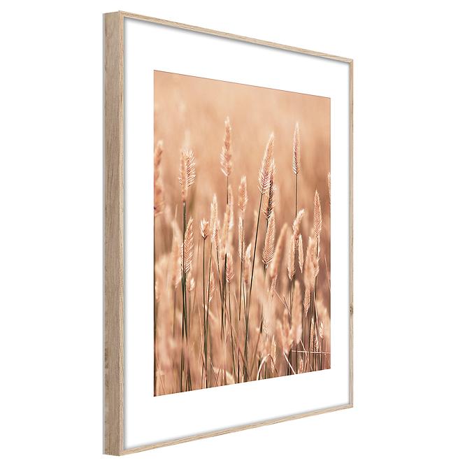 Artbox Digi 50x70 Ab079 Grasses II,2