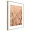 Artbox Digi 50x70 Ab079 Grasses II,2