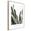 Artbox Digi 50x70 Br005 Strelitzia,2