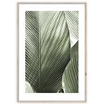 Obraz Artbox Digi 50x70 Br002 Macro