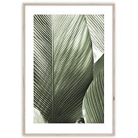 Obraz Artbox Digi 50x70 Br002 Macro