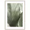 Obraz Artbox Digi 50x70 Br002 Macro