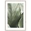 Obraz Artbox Digi 50x70 Br002 Macro