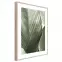 Obraz Artbox Digi 50x70 Br002 Macro,2