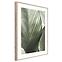Obraz Artbox Digi 50x70 Br002 Macro,2
