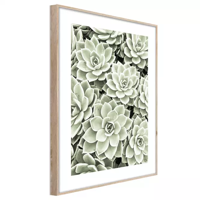 Artbox Digi 50x70 Br009 Succulents,2