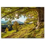 Obraz Glasspik 80x120 St545 Green Tree