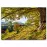 Obraz Glasspik 80x120 St545 Green Tree