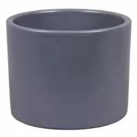 sivá