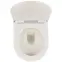 Závesná WC misa Alice II Slim gold/white so sedadlom,3