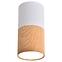 Stropné svietidlo Tuba 1x25W GU10 5,8 cm,2